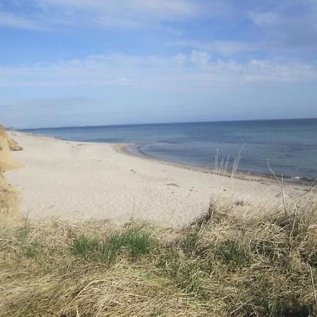 Seemoewe 1 Süssau Buitenkant foto