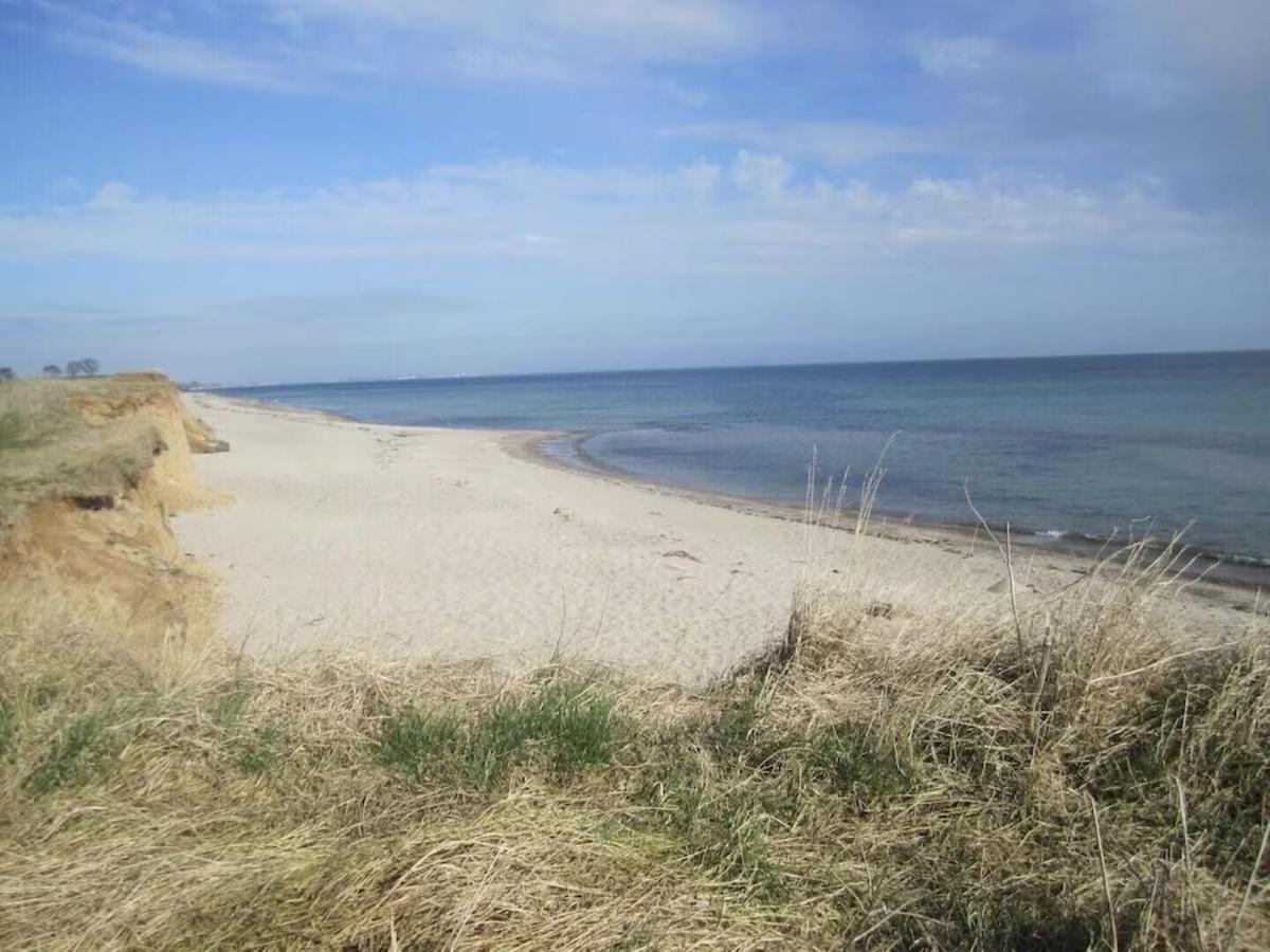 Seemoewe 1 Süssau Buitenkant foto