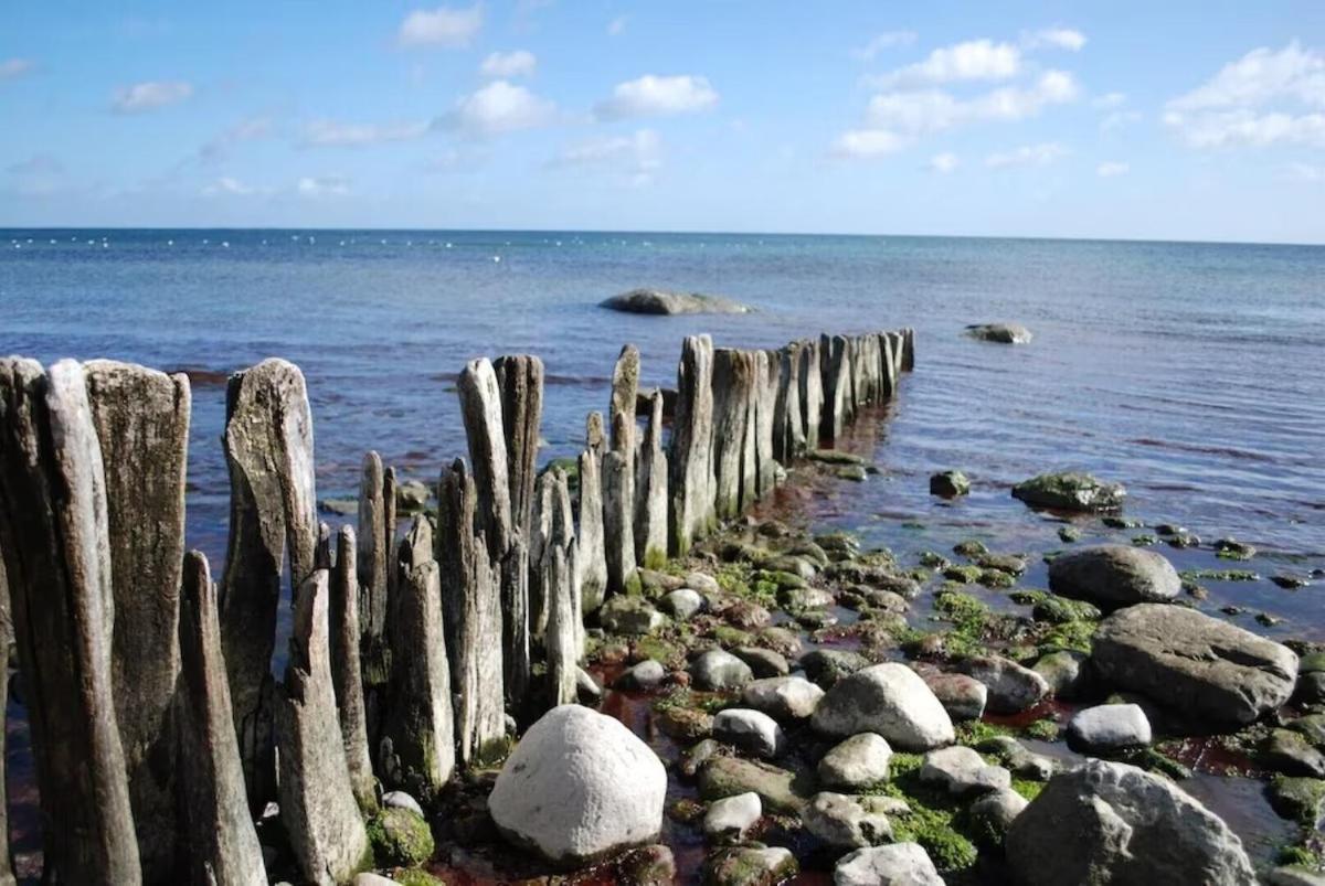 Seemoewe 1 Süssau Buitenkant foto
